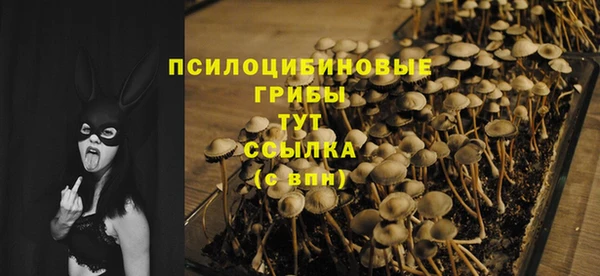 альфа пвп Михайлов