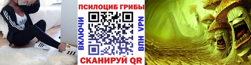 Псилоцибиновые грибы Magic Shrooms  Новозыбков 