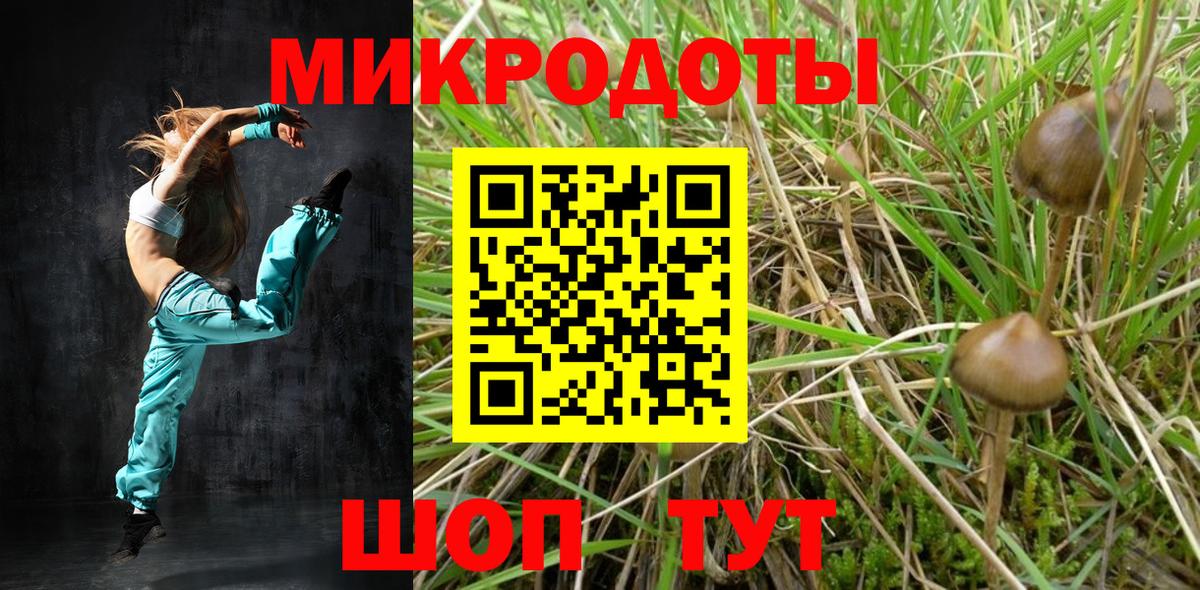Псилоцибиновые грибы GOLDEN TEACHER  Новозыбков  Псилоцибиновые грибы мухоморы 
